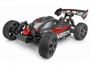 COCHE ELECTRICO RTR 112 BUGGY BAJA 4WD 24HGZ MOTOR BRUSHLESS