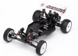 Cyclone D2 2WD Buggy!