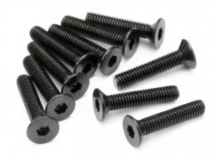 FLAT HEAD SCREW M3x15mm (HEX SOCKET/10pcs)