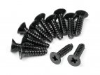 TP. FLAT HEAD SCREW M2.6x10mm (12pcs)